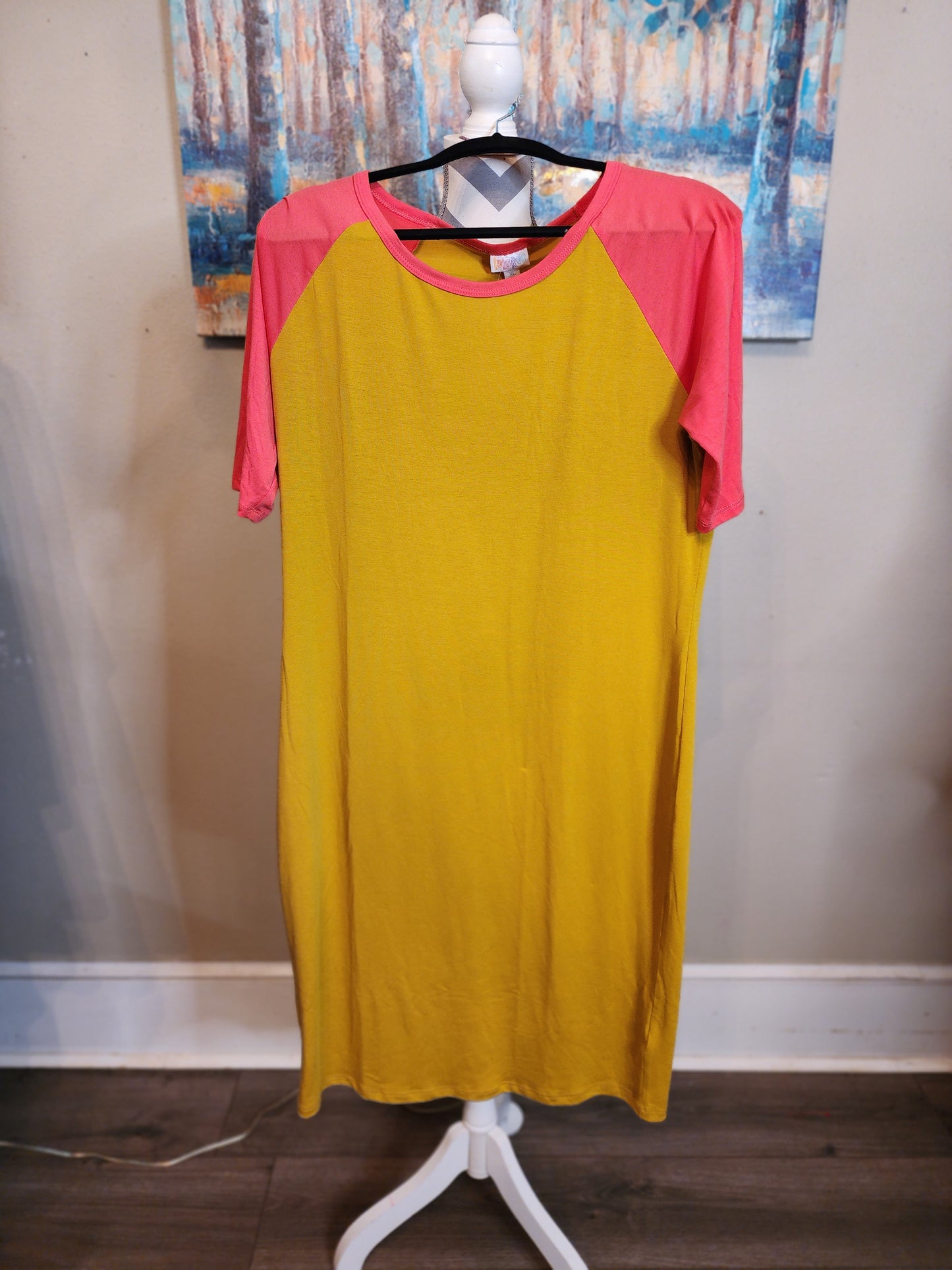 Lularoe Shirt Dress in Pink and Green